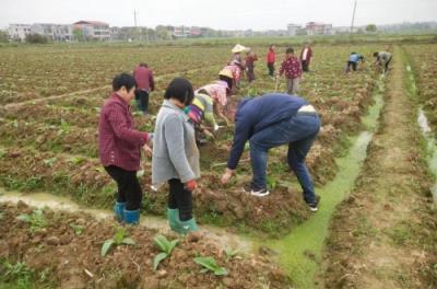 惊现！福建云霄香烟性价比高“无所不包”