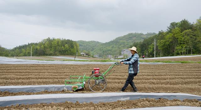 重大新闻！福建云霄香烟一手货源高质量货源诚招代理！“财源广进”