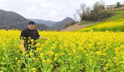 专报特写！7元香烟批发货到付款“一应俱全”