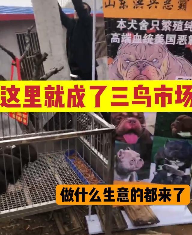 香烟云霄是什么意思_香烟云霄货是什么意思_云霄香烟