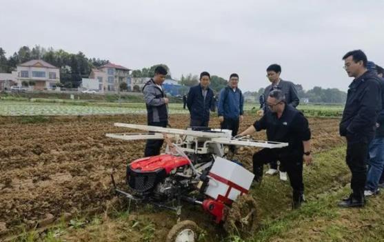 独家特写！福建云霄香烟是哪个城市“扣人心弦”